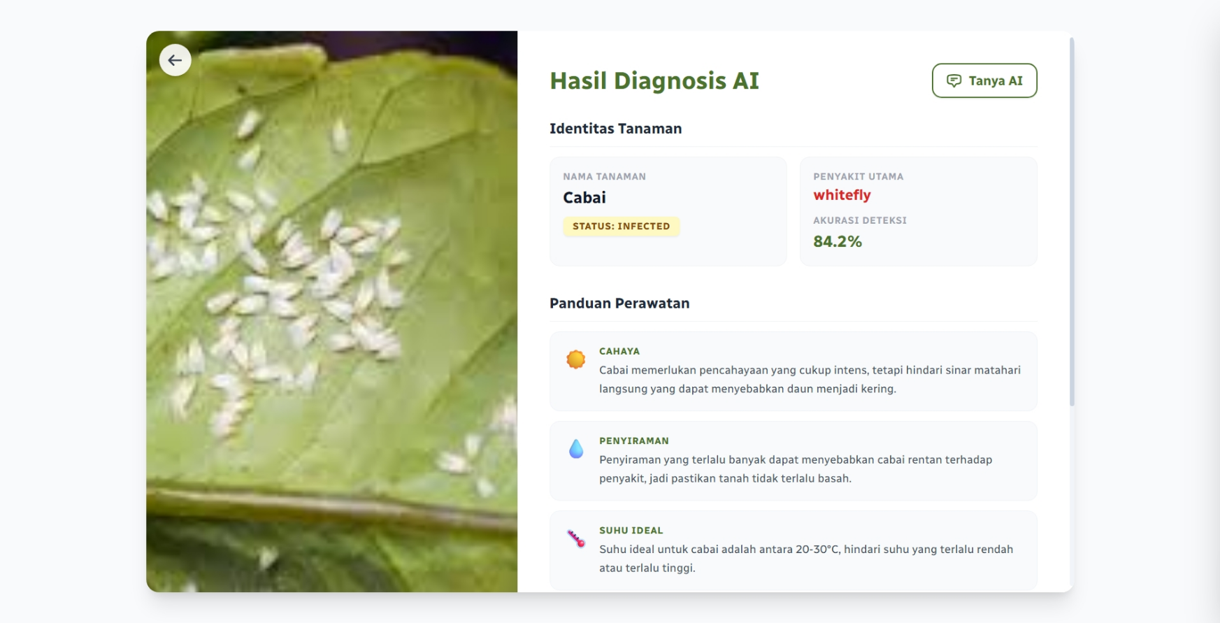 Interface AI Diagnosis Patogen Daun